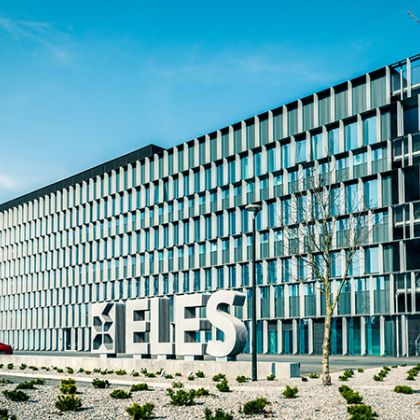Beričevo Eles