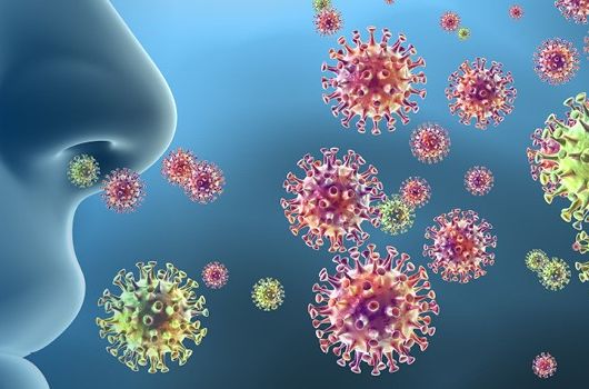 Kolektor Sisteh - poslovanje s strankami v času epidemije